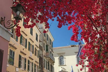 Leone Old Town Apartment Corfu  Exterior foto